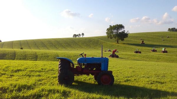Top micro tracteurs d'occasion adaptés à chaque besoin agricole